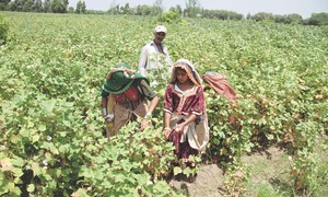 Footprints: the poorest of the poor