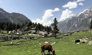 Glaciers, avalanches, and spectacular lakes: My trip to Haramosh Valley