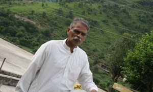 افغانستان کا پاکستانی سفارتی اہلکار کے قتل پر افسوس