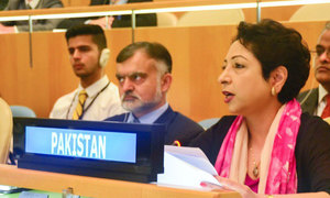 اقوام متحدہ کی جنرل اسمبلی میں پاکستان کی پیش کی گئی قراردادمنظور