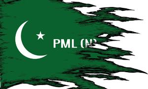Should PMLN remove the 'N' factor?
