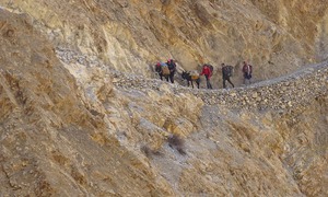 The untold stories of Shimshali porters