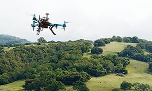 Punjab gets $300m World Bank loan to modernise agriculture