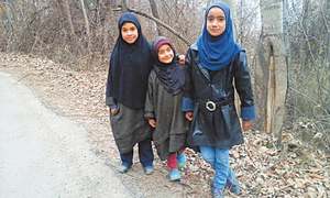 CULTURE: THAT KASHMIRI FEELING