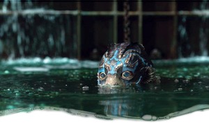 The Shape of Water: Love in a lab The Shape of Water: Love in a lab