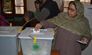 Do Pakistanis vote on an ethnic basis?