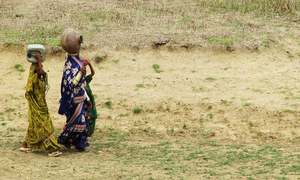 How Sindh is struggling to respond to climate change challenges