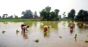 294 Sahiwal farmers booked for water theft in five months 294 Sahiwal farmers booked for water theft in five months