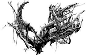 Koel Gallery explores perceptions of three-dimensionality Koel Gallery explores perceptions of three-dimensionality