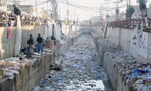 ENVIRONMENT: WHEN CONVENIENCE CONSUMES US