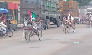کراچی میں پارٹی پرچم بردار گدھا گاڑیوں کی ریس