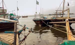 COMMUNITY: THE ISLAND IN A COMA