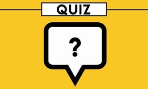 Quiz: How well do you remember the bizarre things our politicians said?