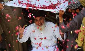 What's behind the sudden rise of TLP?