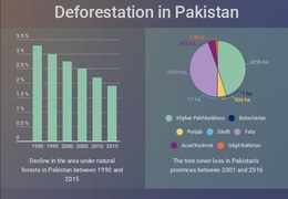 How aggressive deforestation is destroying our natural resources