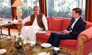 'Great interest in PM Khan's reform agenda,' outgoing US envoy tells foreign minister