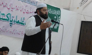 'لگتا ہے پی پی پی اور حکومت کے درمیان خفیہ این آر او ہوچکا'