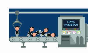Are Imran Khan's cabinet members selected on merit?
