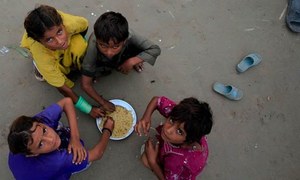 عالمی سطح پر خوراک کی قلت اور غذائیت کی کمی میں مسلسل اضافہ