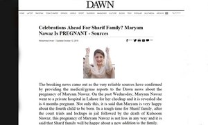 Fake news about Maryam Nawaz being shared online