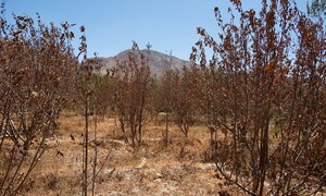 A dry spell
