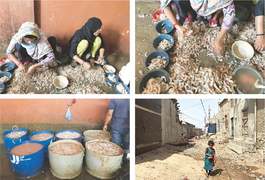 SOCIETY: THE PRAWN-PEELERS OF MACHHAR COLONY