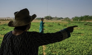 Why organic farming is an uphill task in Pakistan