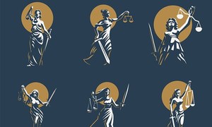 What do women lawyers expect from their male colleagues, anyway?