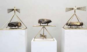 Entwining sculptures and mysticism