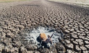 بڑھتا ہوا درجہ حرارت دنیا کو کہاں لے جائے گا؟