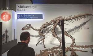 Japanese scientists find new dinosaur species
