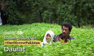 Social Media Prize: 'Daulat' by Mashal Khan Balti and team
