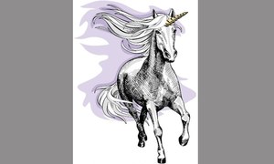 Unicorns in the making