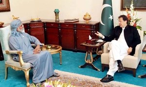 UAE minister discusses ties with PM, president