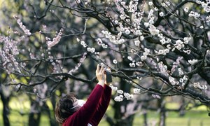 Can warmer temperatures help slow down the coronavirus? Here's what experts say