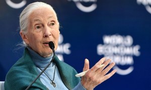 Renowned primatologist says &lsquo;disrespect for animals&rsquo; caused pandemic