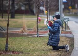 Canada coronavirus deaths rise by almost 9pc to 734