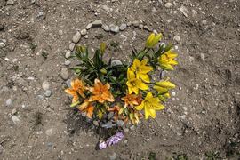 Italy tops 30,000 coronavirus deaths, new cases edge down