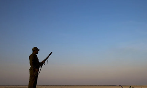 Poaching spikes amid lockdown in South Asia
