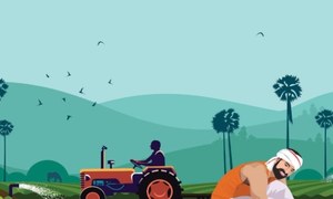 Foreign dependence continues for agri in Sindh budget