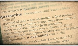 Pandemic. Quarantine. Vaccine. What are the origins of the normalised vocabulary under Covid-19?