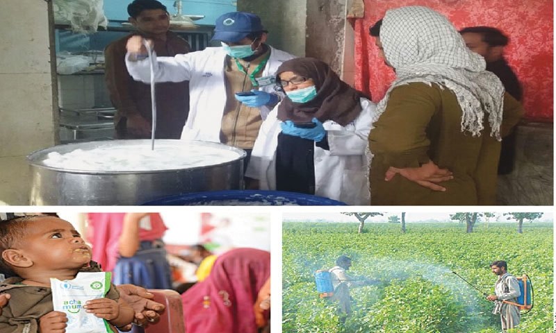 SOCIETY: THE BATTLE FOR HEALTHY FOOD