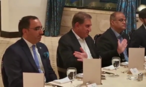 FM Qureshi encourages Egyptian businessmen to invest in Pakistan