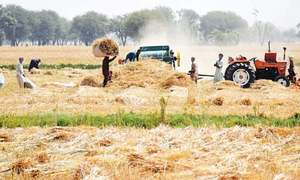 UNIDO to mobilise $40m for Sindh rural development, climate-resilient projects