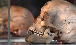 نوآبادیاتی دور میں نسل کشی، جرمنی نے نمیبیا سے معافی مانگ لی