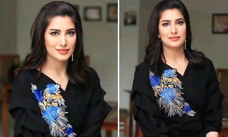 کرکٹر وزیر اعظم بن سکتا ہے تو اداکارہ کیوں نہیں؟ مہوش حیات