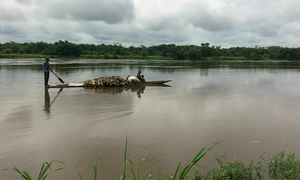 کانگو: دریا میں کشتی الٹنے سے 50 سے زائد افراد ہلاک