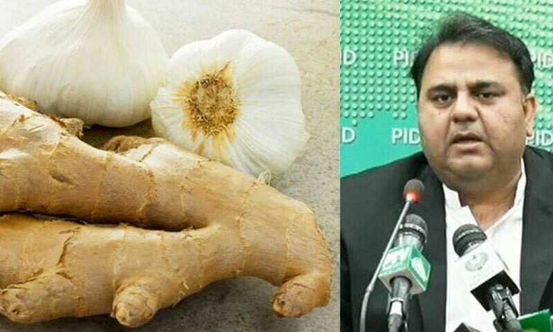 وزیر اطلاعات &rsquo;گارلک&lsquo; اور &rsquo;لہسن و ادرک&lsquo; میں پھنس گئے