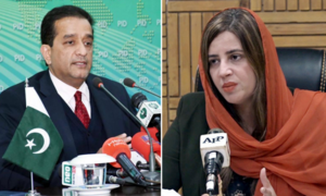 PM’s aide, state minister got into brawl at UN moot, alleges PTI MNA