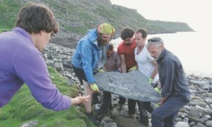 Fossil of flying reptile leaves scientists &lsquo;gobsmacked&rsquo;
